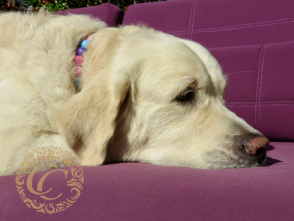 Dog collar Summer Garden Maxi | handmade dog collar | CollarCrafts | dogcollar | halsband | dogcollar | collar | Chic dog collar | Unbreakable Dog Necklace | Buckle dog collars | Designer dog collar | martingale dog collar | Luxury dog collars | wooden bead dog collars | alu max com dog collars | beaded collars for dogs | Colorful beads dog collars