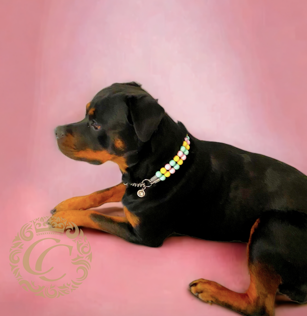 Dog collar Spring Bunny | Luxury Dog Collars | Pink Turquoise Yellow dog Collars | CollarCrafts | dogcollar | collar | honden halsband | Buckle dog collar | bead dog collars | Luxury dog collar | Easter dog collar | beaded dog collars | Unbreakable dog necklace collars | alu max com dog collars | beaded collars for dogs | Spring dog collars