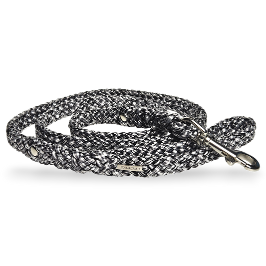 Dog leash Black Silver CollarCrafts 