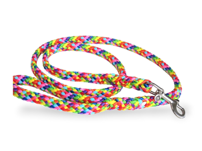 Dog leash for medium & large dogs Rainbow