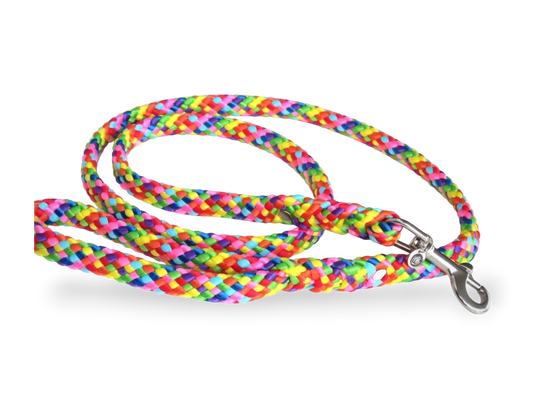 Dog leash for medium & large dogs Rainbow