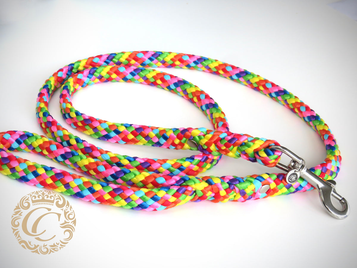Handmade dog leash Rainbow | Dog Leashes | Dog Collars | CollarCrafts | dogleash | custom made leash | hondenhalsband | honden leiband | paracord dog lead | washable dog leash | paracord leash | fancy dog leashes | Rainbow dog leash | dog collar leash set | collarcrafts