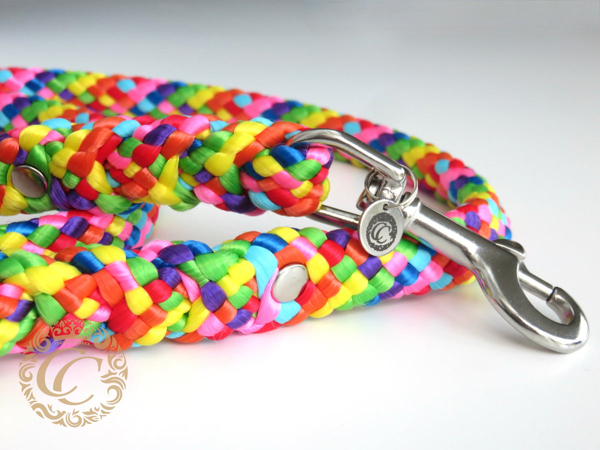 Handmade dog leash Rainbow | Dog Leashes | Dog Collars | CollarCrafts | dogleash | custom made leash | hondenhalsband | honden leiband | paracord dog lead | washable dog leash | paracord leash | fancy dog leashes | Rainbow dog leash | dog collar leash set | collarcrafts