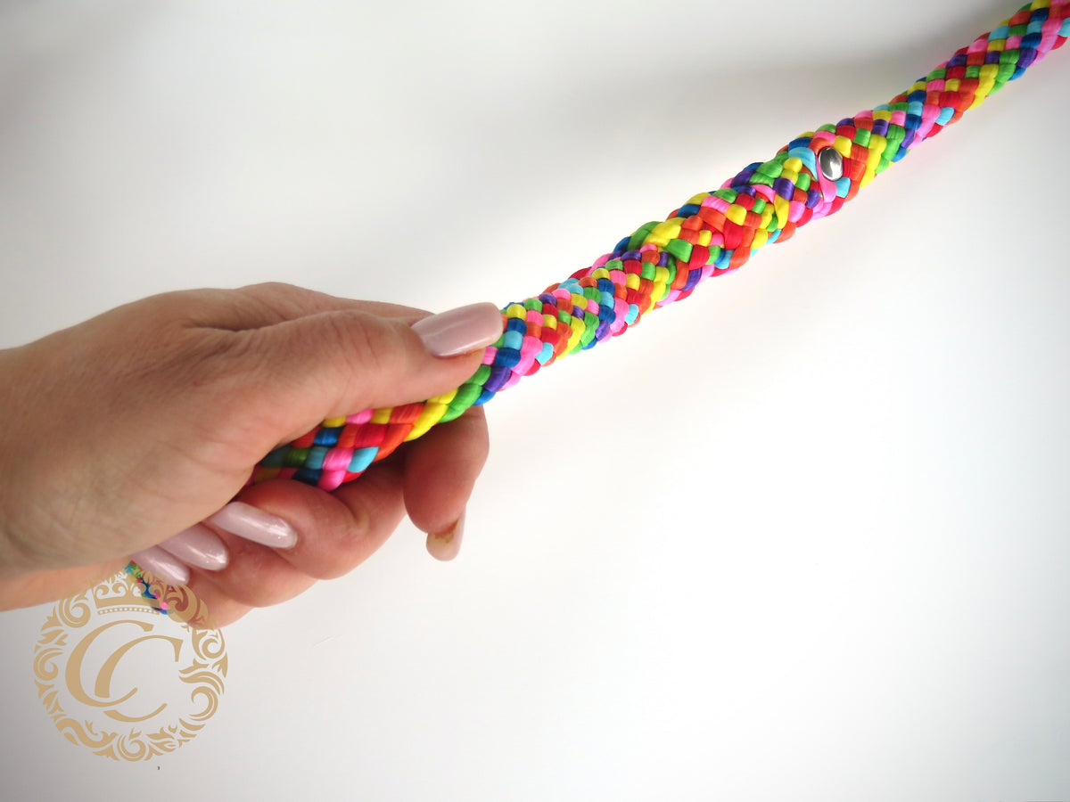 Handmade dog leash Rainbow | Dog Leashes | Dog Collars | CollarCrafts | dogleash | custom made leash | hondenhalsband | honden leiband | paracord dog lead | washable dog leash | paracord leash | fancy dog leashes | Rainbow dog leash | dog collar leash set | collarcrafts