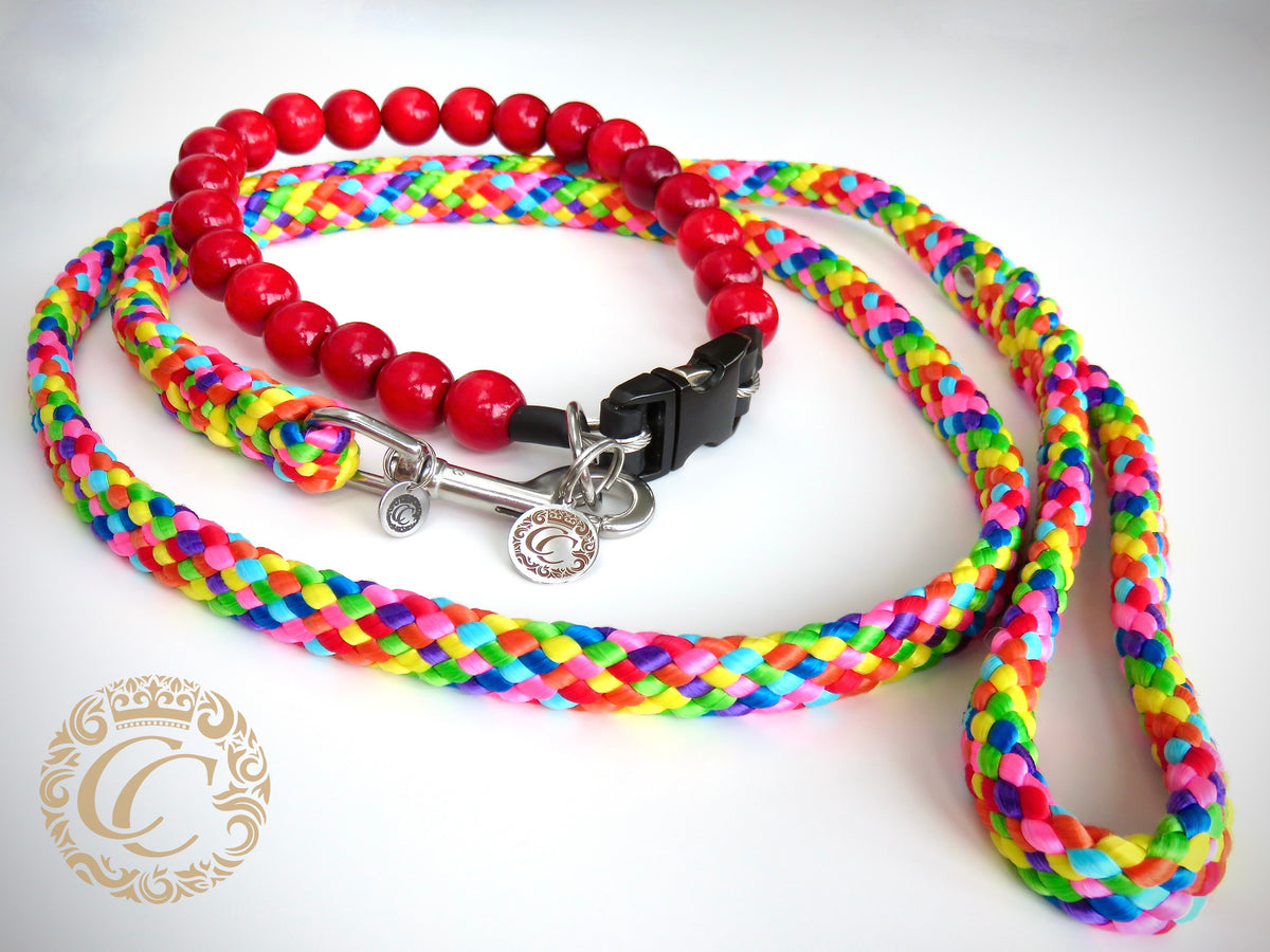 Handmade dog leash Rainbow | Dog Leashes | Dog Collars | CollarCrafts | dogleash | custom made leash | hondenhalsband | honden leiband | paracord dog lead | washable dog leash | paracord leash | fancy dog leashes | Rainbow dog leash | dog collar leash set | collarcrafts