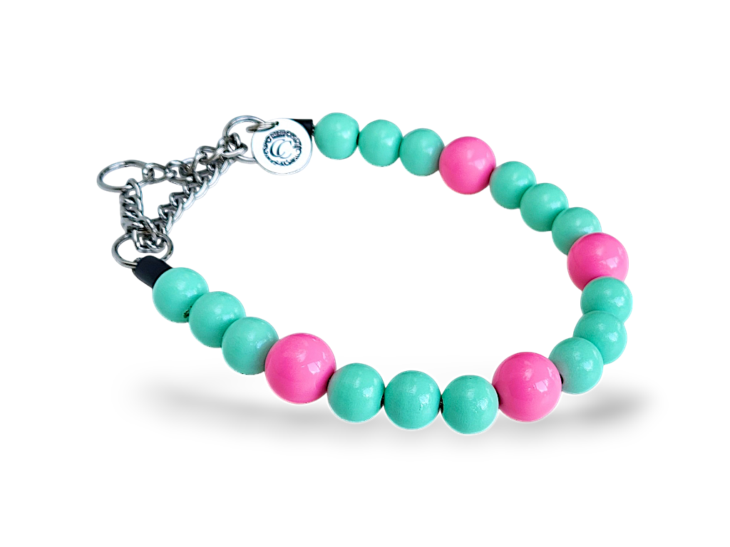 Dog collar Hot Pink Turquoise