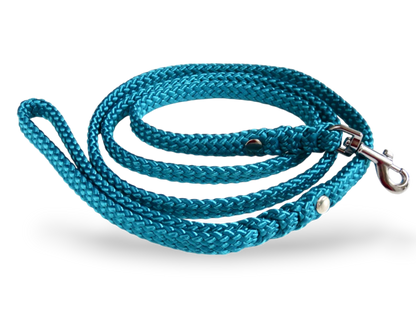 Dog leash for small & medium dogs Aqua Mini