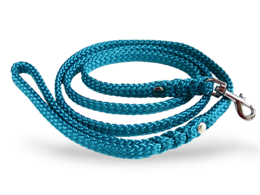Dog leash for small & medium dogs Aqua Mini