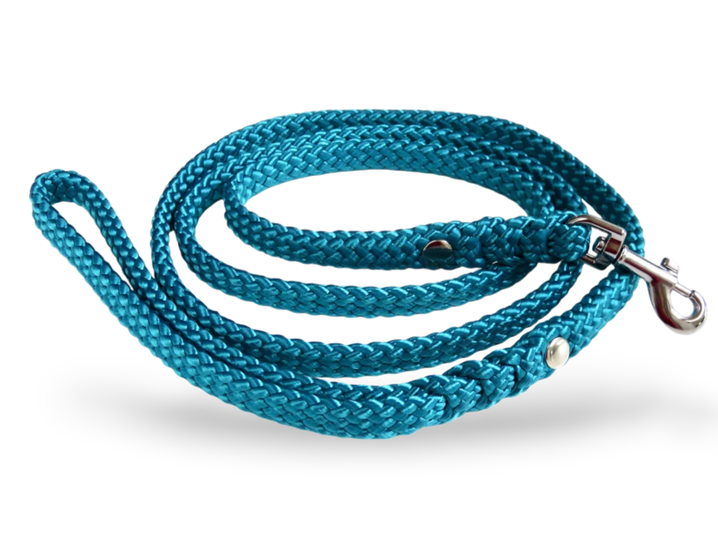 Dog leash for small & medium dogs Aqua Mini