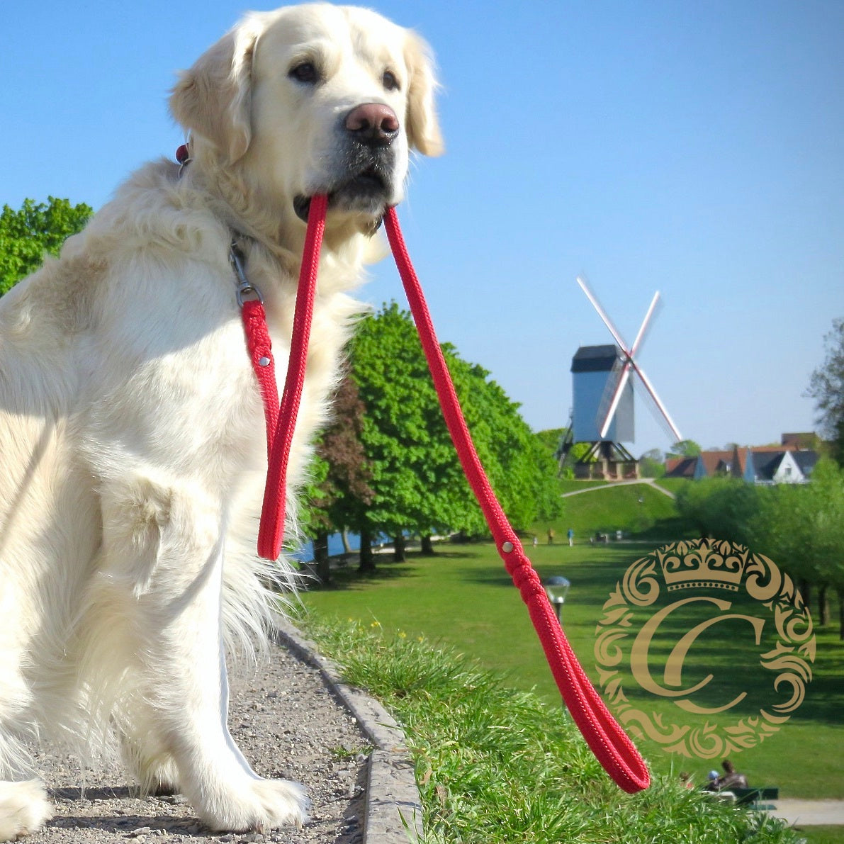 Dog leash for medium and large dogs Red | Paracord dog leash | Handmade leash for dogs |Red dog leash | Honden leibanden |Paracord leiband voor honden | Washable dog leash | Red paracord dog leash | Lead for dog | Snapleash | Dog lead | Custom made dog leashes | CollarCrafts | Leashes and collars