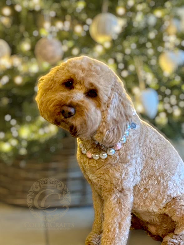 Dog Collar Moonlite Rose