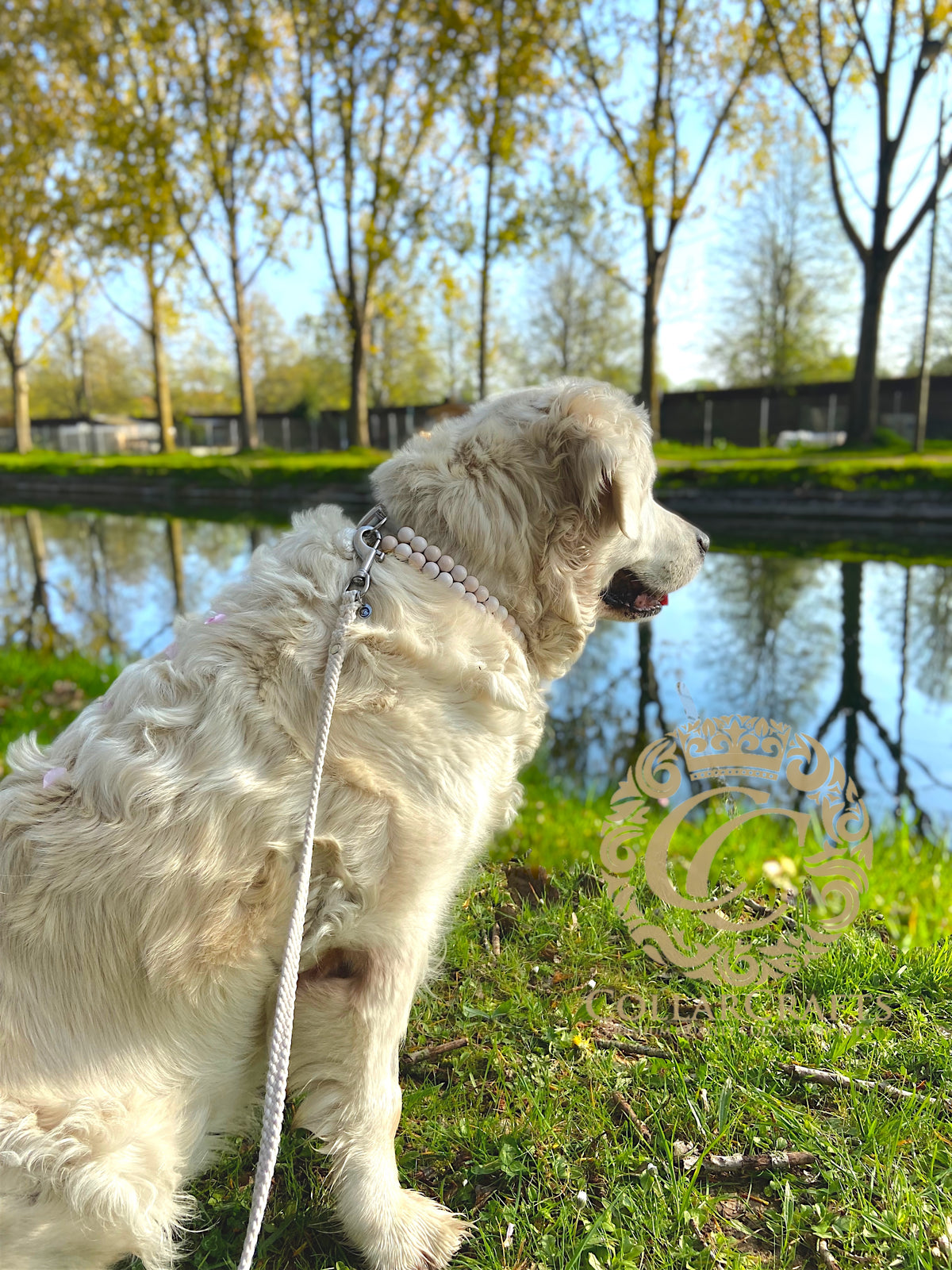 Beaded Dog Collar CollarCrafts Ivory Wooden Beads Dogs Unbreakable Necklace Buckle White Beads Large Dog