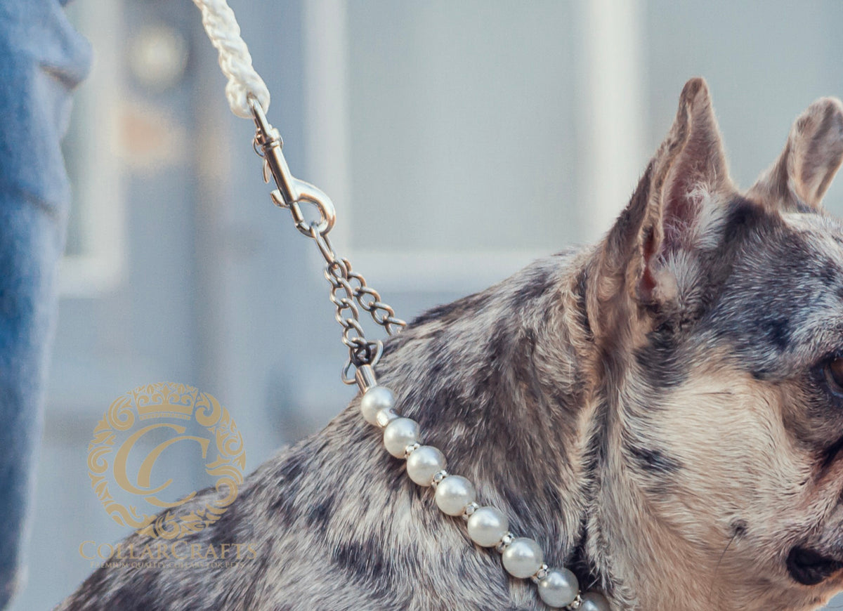 Pearl Collar CollarCrafs Pearls And Sparkles Fancy LUX dog collar Martingale closure with a matching leash CollarCrafts On A French Bulldog