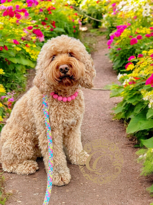 CollarCrafts Vivid Pink Maxi Beaded Dog Collar with vibrant pink beads, stylish and durable pet accessory