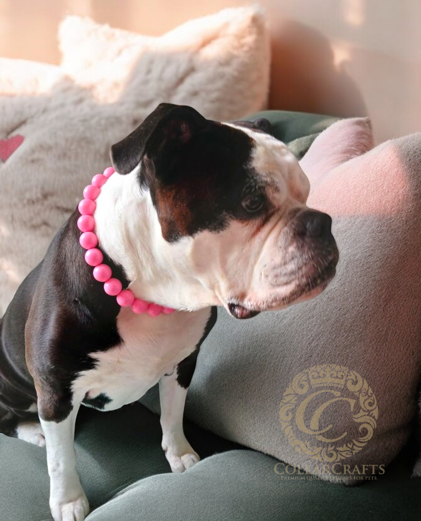 Dog Collar Pink Beads CollarCrafts Vivid Pink Maxi Beaded Dog Collar Buckle Collar  Large Dog