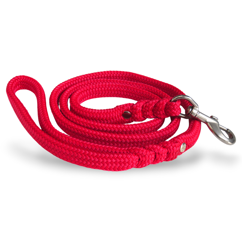 Dog leash for medium & large dogs Red