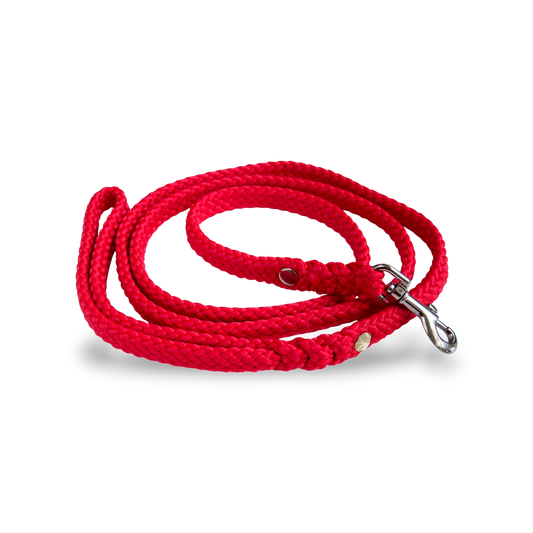 Dog leash for small dogs Red