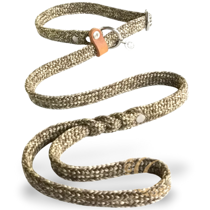 Slip on dog leash CollarCrafts