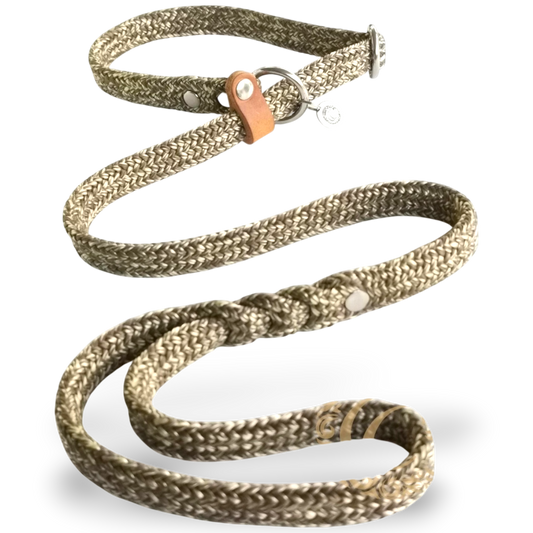Slip on dog leash CollarCrafts