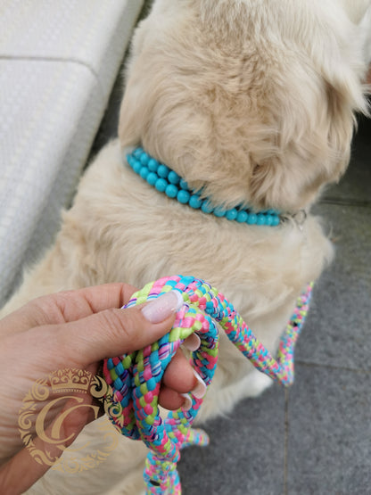 Handmade dog leash Candy Crush Maxi | Dog Leashes | Dog Collars | CollarCrafts | dogleash | custom made leash | hondenhalsband | honden leiband | paracord dog lead | washable dog leash | paracord leash | fancy dog leashes | Turquoise pink green dog leash | dog leash flashy colors | collarcrafts