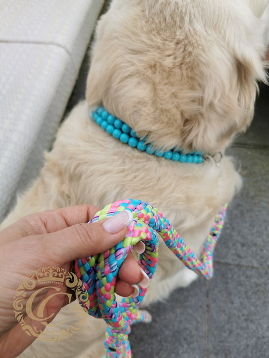 Handmade dog leash Candy Crush Maxi | Dog Leashes | Dog Collars | CollarCrafts | dogleash | custom made leash | hondenhalsband | honden leiband | paracord dog lead | washable dog leash | paracord leash | fancy dog leashes | Turquoise pink green dog leash | dog leash flashy colors | collarcrafts