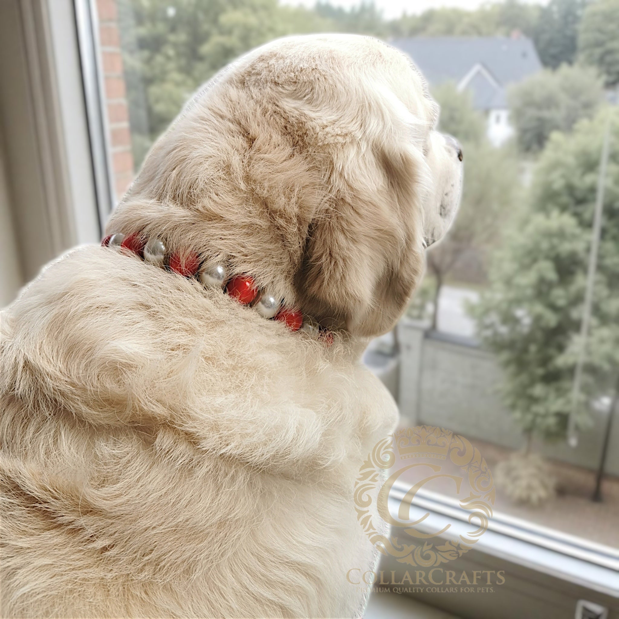 Dog collar LUX Candy Cane