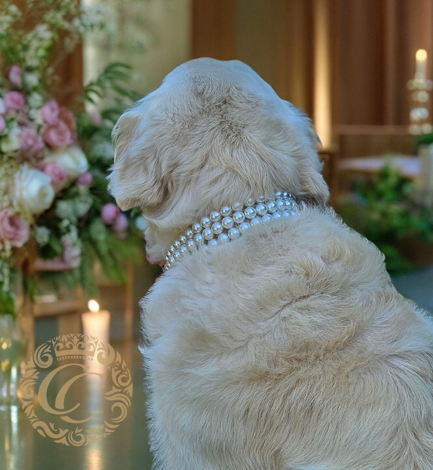 Pearl Dog CollarCollarCrafts Lux Pearl Neckase For Dogs Luxury Pet Accessories Large Beads Dog Collar Durable Unbreakable Dog Necklace