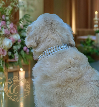 Pearl Dog CollarCollarCrafts Lux Pearl Neckase For Dogs Luxury Pet Accessories Large Beads Dog Collar Durable Unbreakable Dog Necklace