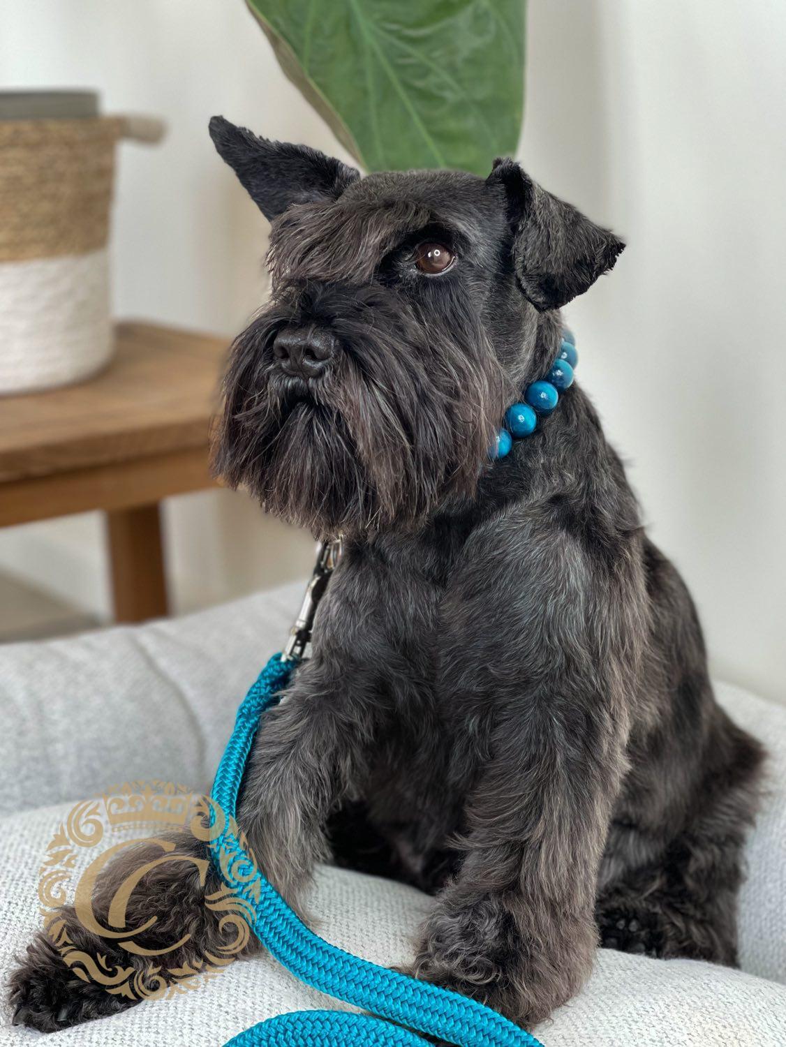 Dog collar Sea Wave | Dog Collars | Luxury Dog Collars | CollarCrafts | dog collar | collar | honden halsband set | halsband | bead dog collars | designer dog collar | buckle dog collar | martingale dog collars | wooden bead dog collars | alu max com dog collars | beaded collars for dogs | turquoise dog collars