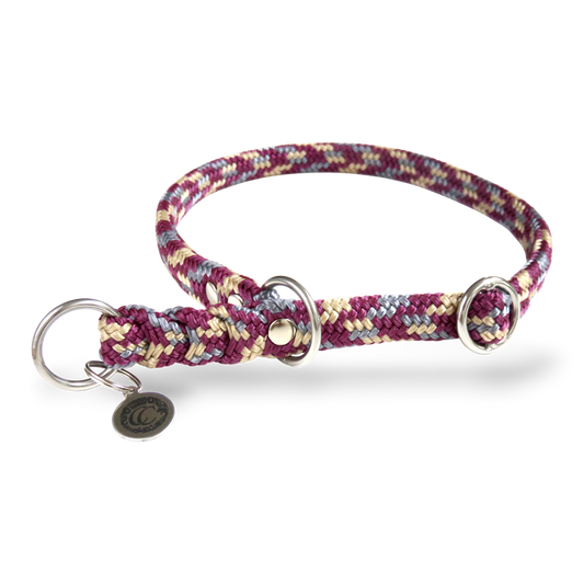 Slip On Dog Collar - Choose Color & Size