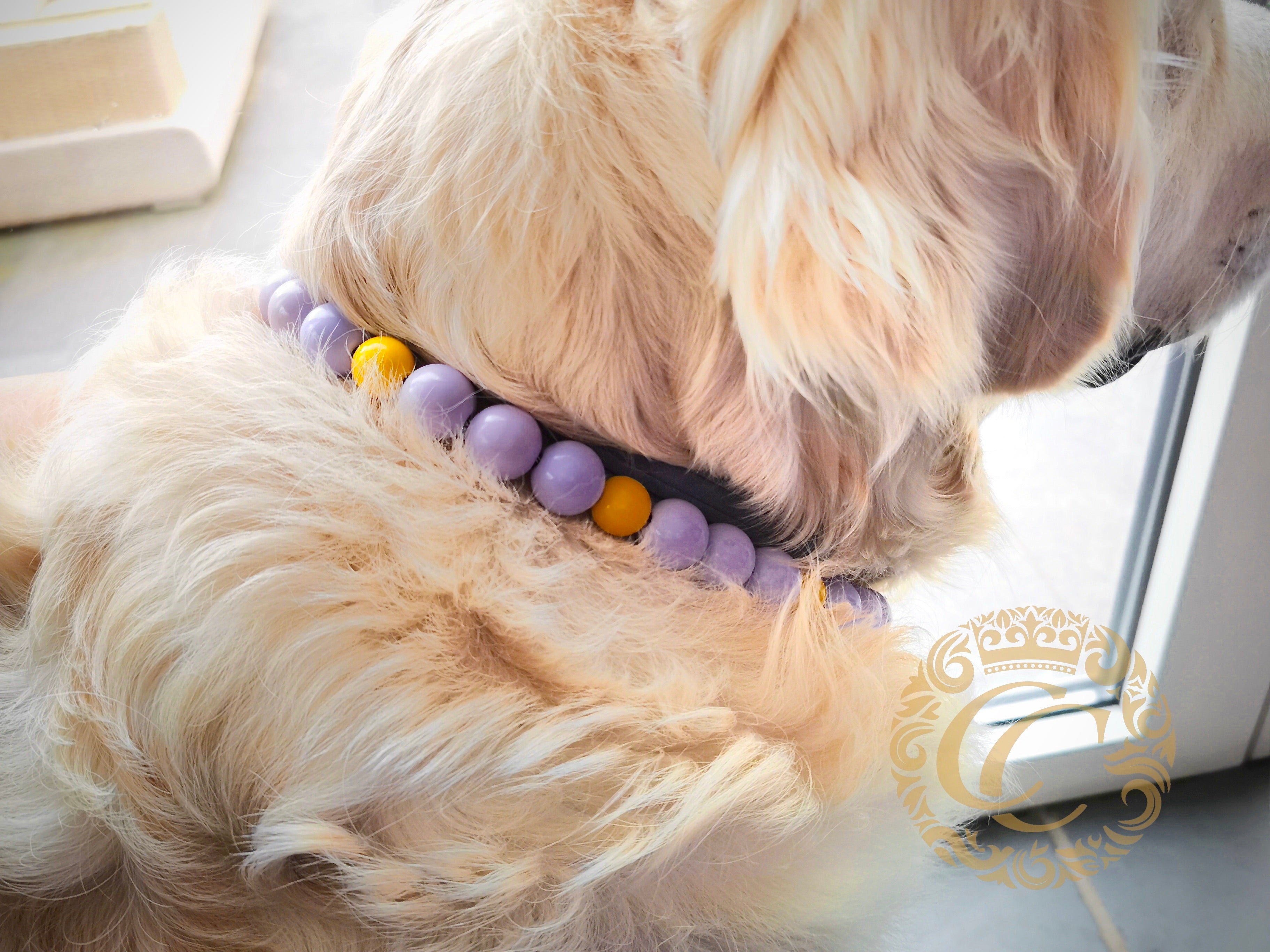 Handmade dog collar Purple Flower | Dog Collars | Cat Collars | CollarCrafts | dogcollar | collar | hondenhalsband | hondenband | Kattenhalsband | bead dog collars | cat mood collar | beaded dog collar | beaded dog collars | wooden bead dog collars | alu max com dog collars | beaded collars for dogs | rainbow dog collars | collarcrafts