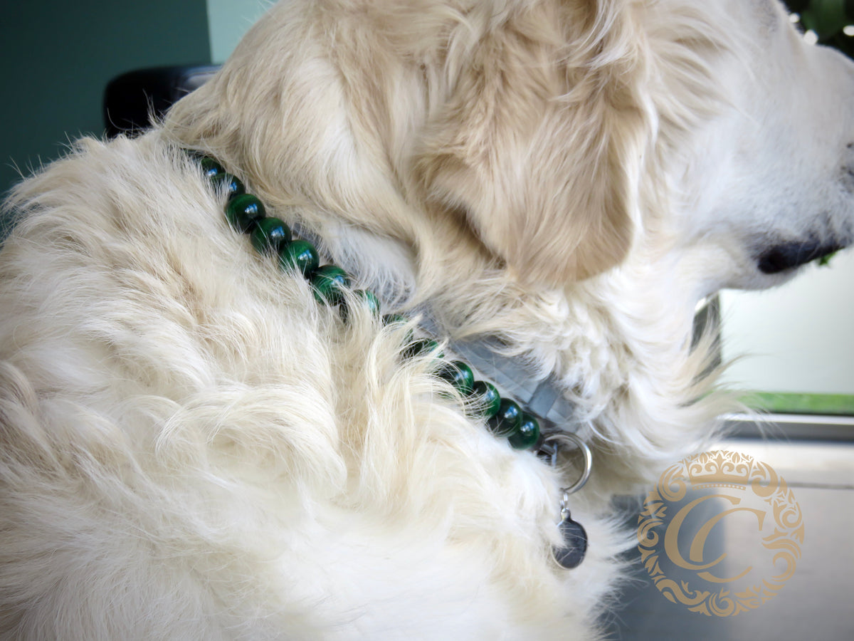 dog collar collarcrafts handmade dog collar | dogcollar | bead dog collars | mood collar | beaded dog collar | beaded dog collars | wooden bead dog collars | alu max com dog collars | beaded collars for dogs | rainbow dog collars | collarcrafts
