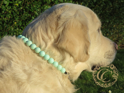 Dog collar Aqua Maxi | handmade dog collar | CollarCrafts | dogcollar | halsband | dogcollar | collar | Chic dog collar | Unbreakable Dog Necklace | Buckle dog collars | Luxury dog collar | martingale dog collar | beaded dog collars | wooden bead dog collars | alu max com dog collars | beaded collars for dogs | aqua blue dog collars