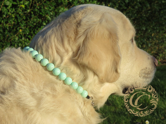 Dog collar Aqua Maxi | handmade dog collar | CollarCrafts | dogcollar | halsband | dogcollar | collar | Chic dog collar | Unbreakable Dog Necklace | Buckle dog collars | Luxury dog collar | martingale dog collar | beaded dog collars | wooden bead dog collars | alu max com dog collars | beaded collars for dogs | aqua blue dog collars