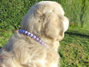 Dog collar Lilac Mini | Handmade Dog Collars | Necklaces for dogs | CollarCrafts | dogcollar | collar | honden halsband | bead dog collars | buckle dog collar | martingale dog collar | luxury dog collars | wooden bead dog collars | alu max com dog collars | beaded collars for dogs | lilac dog collars