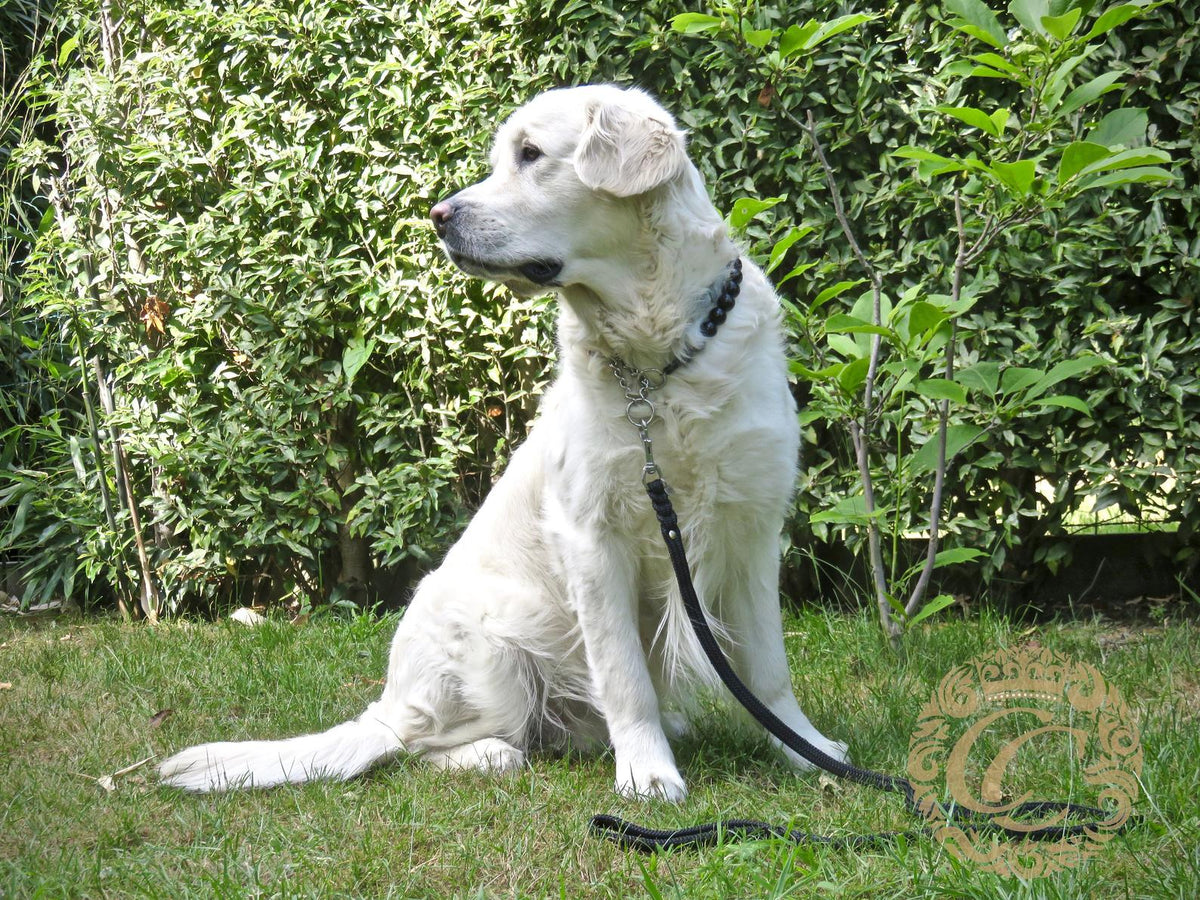 Handmade dog collar Black Maxi | Dog Collars | CollarCrafts | dog collar | Honden halsband | Design dog collars | Luxury dog collars | Black beads dog collar | Unbreakable necklace for dogs | wooden bead dog collars | alu max com dog collars | Martingale collars for dogs | Black pearls dog collar