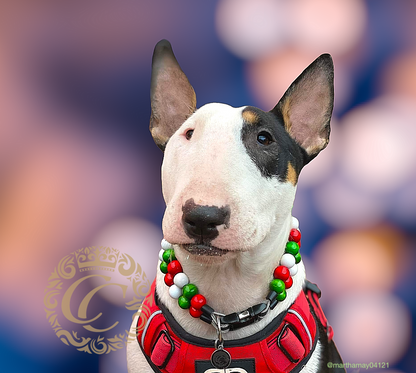 Dog collar Double Howlidays | Christmas Dog Collars | Party dog Collars | CollarCrafts | dogcollar | collar | honden halsband | Buckle dog collar Christmas | bead dog collars | Holiday mood collar | beaded dog collar | beaded dog collars | wooden bead dog collars | alu max com dog collars | beaded collars for dogs | Christmas dog collars | Christmas dog collar on bullterrier Martha