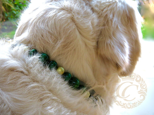 Handmade dog collar Green Gold | Dog Collars | Cat Collars | CollarCrafts | Christmas dog collar | dogcollar | collar | hondenhalsband | hondenband | Kattenhalsband | bead dog collars | cat mood collar | beaded dog collar | beaded dog collars | wooden bead dog collars | alu max com dog collars | beaded collars for dogs | rainbow dog collars | collarcrafts