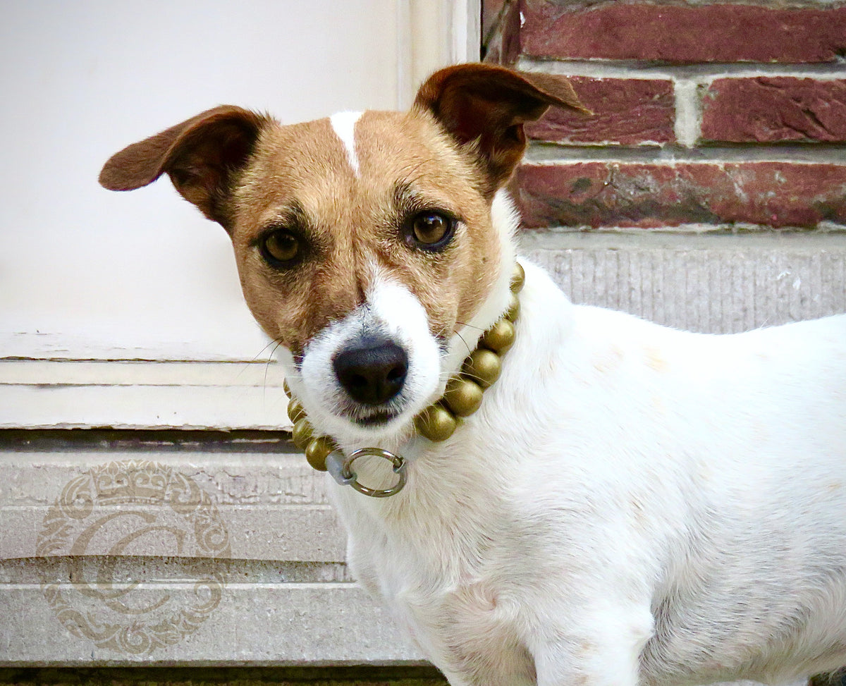 dogcollar | collar | dogcollar | collar | hondenhalsband | bead dog collars | mood collar | beaded dog collar | beaded dog collars | wooden bead dog collars | alu max com dog collars | beaded collars for dogs | rainbow dog collars | collarcrafts