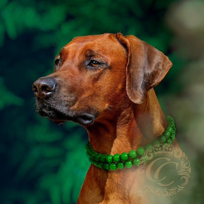 Dog collar Double Lucky Green | St Patrick's Dog Collars | Green dog Collars | CollarCrafts | dogcollar | collar | honden halsband | Buckle dog collar Christmas | bead dog collars | Holiday mood collar | beaded dog collar | beaded dog collars | wooden bead dog collars | alu max com dog collars | beaded collars for dogs | St Patrick's Day dog collars