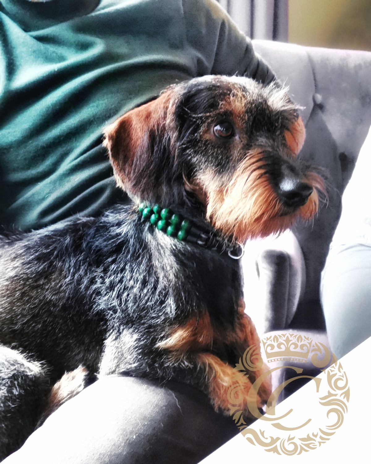 Dog collar Double Emerald Mini | handmade dog collar | collarcrafts | emerald green dog collar | halsband | dogcollar | collar | hondenhalsband | bead dog jewelry | dog necklace unbreakable | martingale dog collar | buckle dog collars | wooden bead dog collars | alumax dog collars | beaded collars for dogs | green dog collars