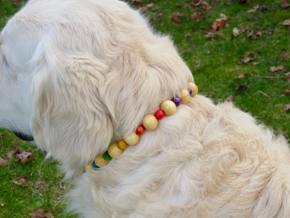 Handmade dog collar Light Rainbow | Dog Collars | Cat Collars | CollarCrafts | dogcollar | collar | hondenhalsband | hondenband | Kattenhalsband | bead dog collars | cat mood collar | beaded dog collar | beaded dog collars | wooden bead dog collars | alu max com dog collars | beaded collars for dogs | rainbow dog collars | collarcrafts