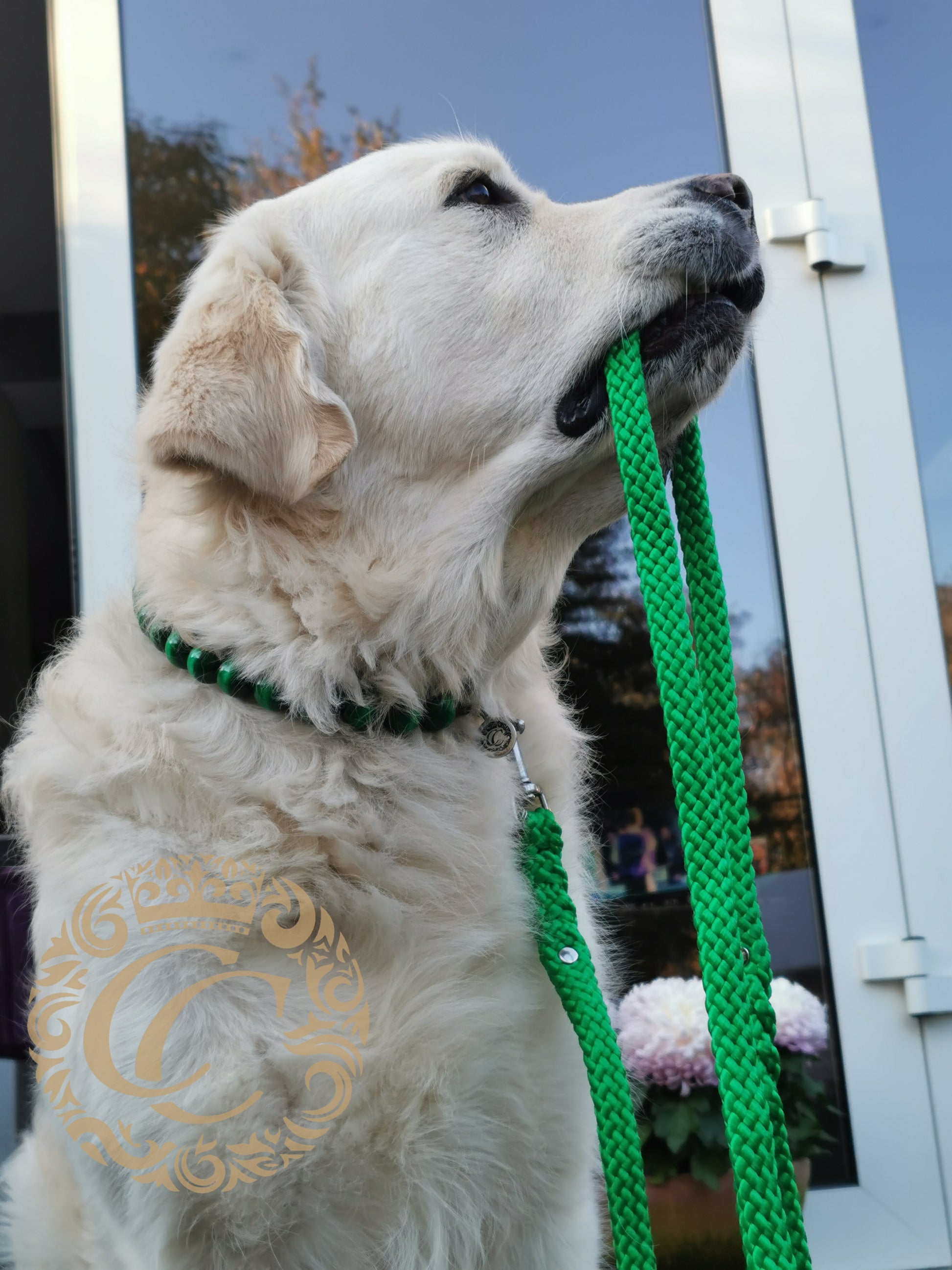 Dog leash Green | Handmade Dog Leashes | Dog leash paracord | CollarCrafts | dogleash | leash | hondenleiband | honden leiband | paracord dog lead | Dog leash washable | paracord leash | Green dog leash | custom dog leash | Green dog leash | dog collar leash set | collarcrafts