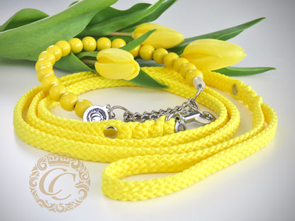 dogcollar | collar | hondenhalsband | hondenband | Kattenhalsband | bead dog collars | cat mood collar | beaded dog collar | beaded dog collars | wooden bead dog collars | alu max com dog collars | beaded collars for dogs | rainbow dog collars | collarcrafts