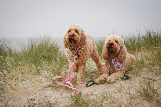 Handmade dog leash Baby Pink | Dog Leashes | Dog Collars | CollarCrafts | dogleash | leash | hondenhalsband | honden leiband | paracord dog lead | bead dog collars | paracord leash | beaded dog collar | beaded dog collars | Pink dog leash | dog collar leash set | collarcrafts