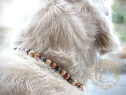 Dog collar Crocus Mini
