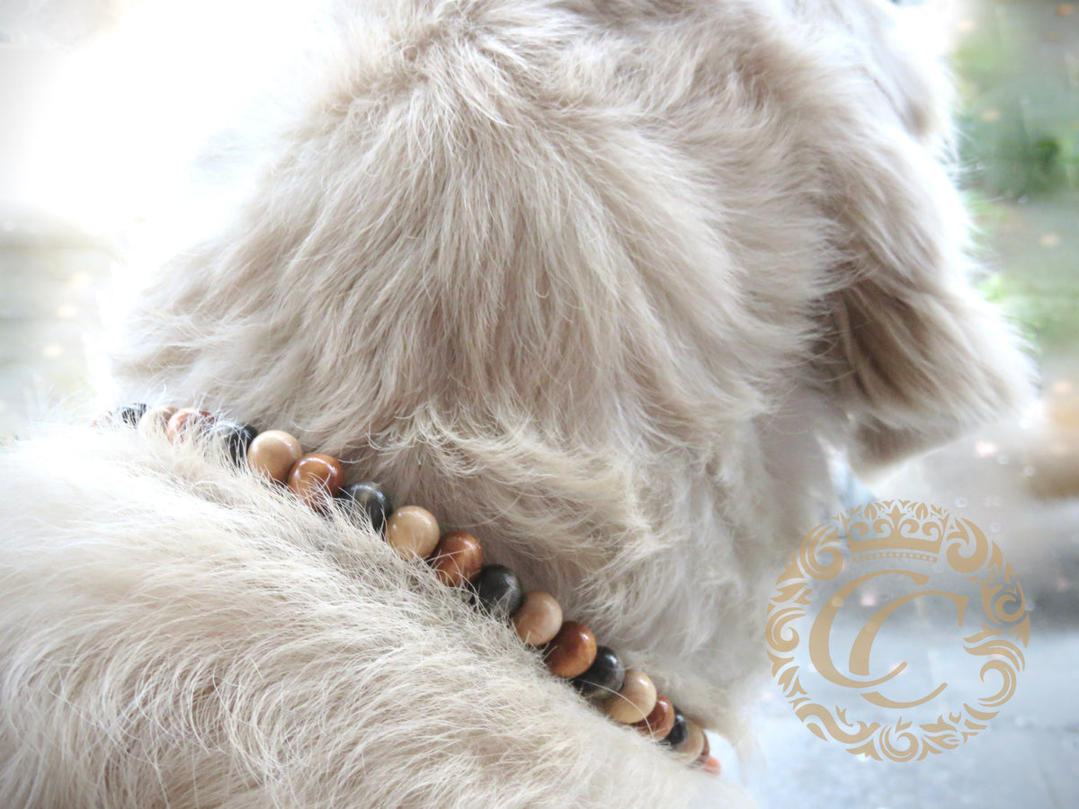 Handmade dog collar Tiny Woods | Beaded Dog Collars | Natural dog collar | CollarCrafts | dogcollar | collar | Luxe honden halsband | hondenhalsband | custom made dog collars | buckle dog collars | luxury dog collar | unbreakable dog necklace collar | buckle dog collars | wooden bead dog collars | alu max com dog collars | beaded collars for dogs | Natural Gray Beige dog collars | collarcrafts