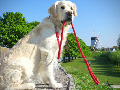 Handmade dog leash Orange | Dog Leashes | Dog Collars | Cat Collars | CollarCrafts | dogcollar | collar | hondenhalsband | hondenband | Kattenhalsband | bead dog collars | cat mood collar | beaded dog collar | beaded dog collars | wooden bead dog collars | alu max com dog collars | beaded collars for dogs | rainbow dog collars | collarcrafts