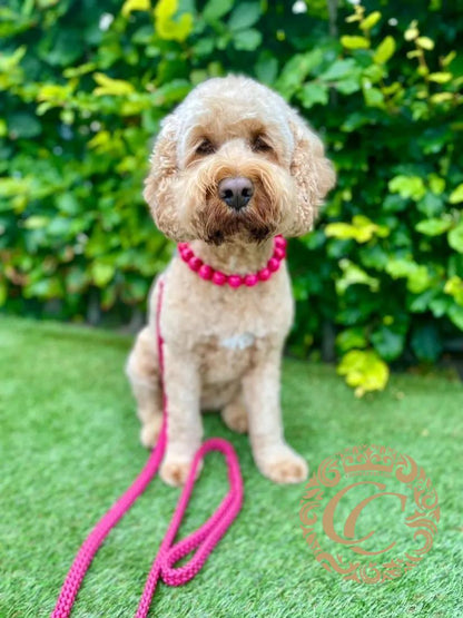 Handmade dog leash Dark Fuchsia | Dog Leashes | Dog Collars | Design dog leashes and collars | CollarCrafts | dogleash | leash | hondenhalsband | handmade leashes | durable dog leashes | dog collar leash set | honden leiband | leiband | beaded dog collars | custom made dog leashes | dog leads | leashes for dogs | paracord dog leashes | collarcrafts