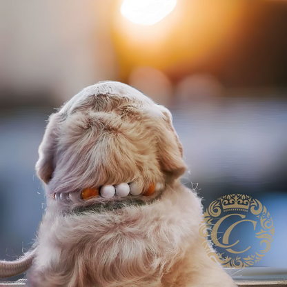 Dog collar Daisy Max | yellow white dog collar | daisy dog collar | hondenhalsband | large dog collar | bead dog collars | luxury dog collar | beaded dog collar | martingale dog collars | wooden bead dog collars | design dog collars | buckle collars | summer dog collars